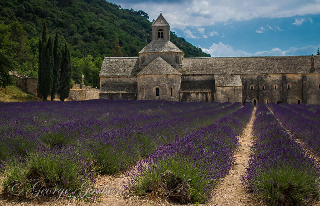 Senanque Abbey, Provence